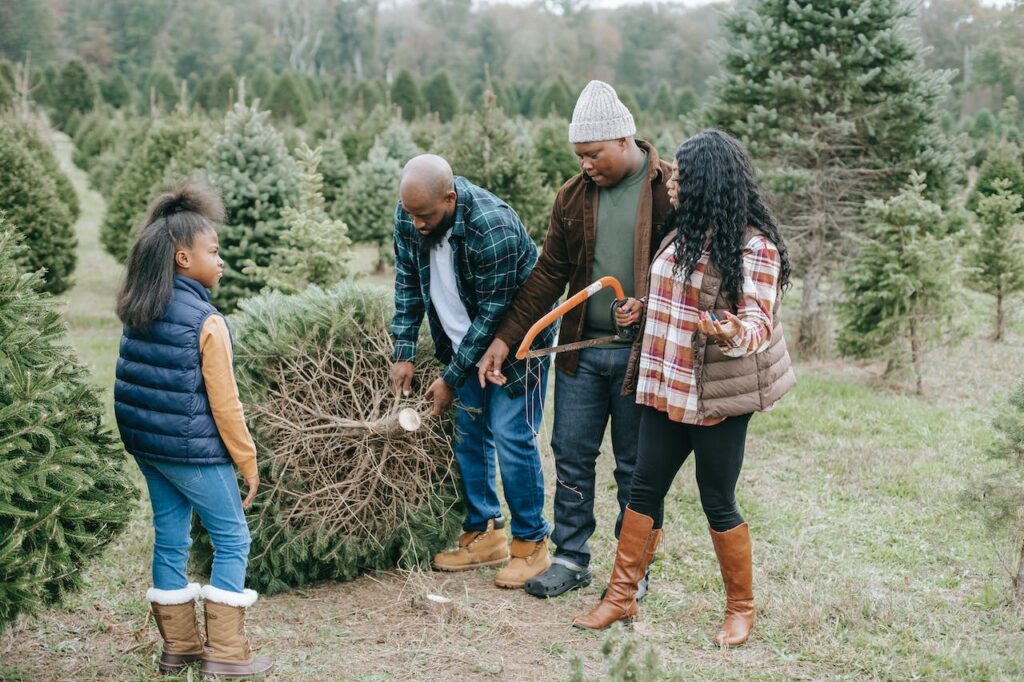 Family chopping a tree at a tree farm