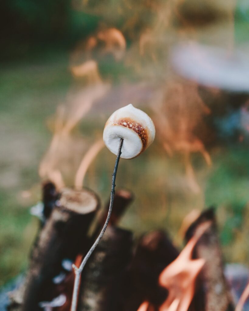 Marshmallow roasting by the fire